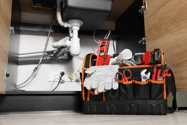 Best Affordable Plumber Near Me  in Freeland, PA