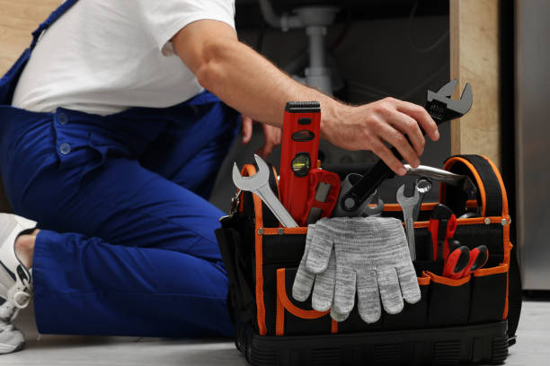 Best Toilet Repair Services  in Freeland, PA